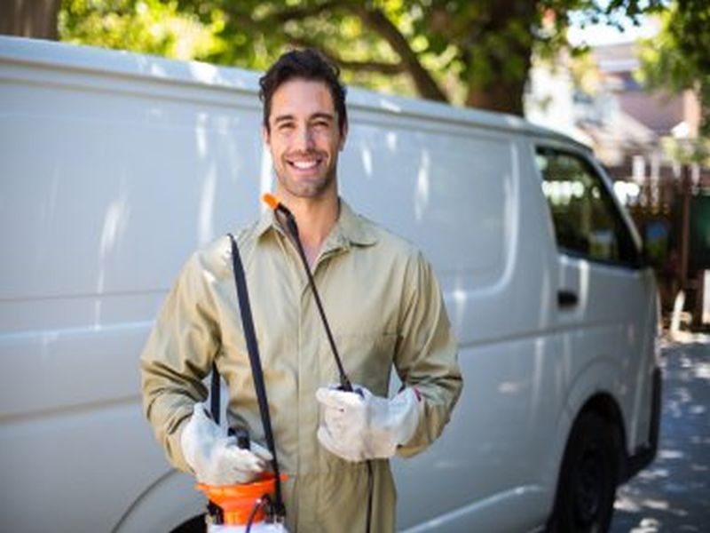 Sydney Pest Control: The Role of Proper Waste Management in Pest Prevention
